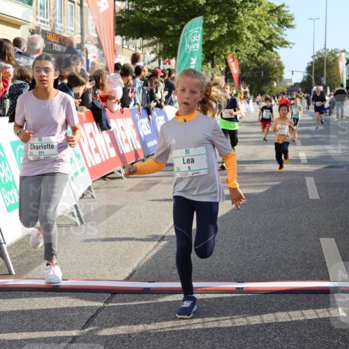 15.09.2024 - PSD Bank Halbmarathon Strokosch-Dieckow http://msf.ph/oto/7074269 15.09.2024 10:29:27 Ziel 5, 12, 47, 70, 150, 154, 170, 180, 231, 244, 254, 255, 271, 288, 292, 297 meine-sportfotos.de