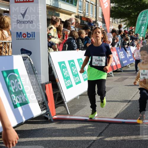 15.09.2024 - PSD Bank Halbmarathon Strokosch-Dieckow http://msf.ph/oto/7074329 15.09.2024 10:29:29 Ziel 5, 12, 47, 70, 150, 170, 180, 194, 231, 244, 254, 255, 271, 288, 292, 297 meine-sportfotos.de