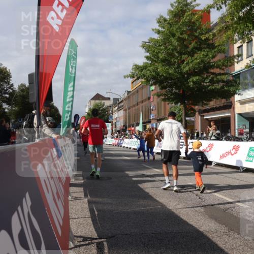 15.09.2024 - PSD Bank Halbmarathon Michael Strokosch http://msf.ph/oto/7074353 15.09.2024 10:33:21 Ziel 224, 304 meine-sportfotos.de
