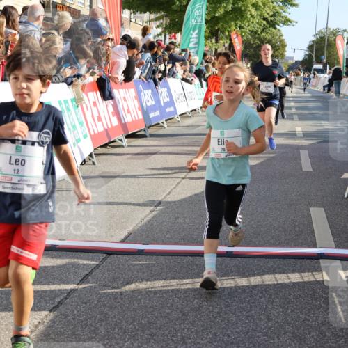 15.09.2024 - PSD Bank Halbmarathon Strokosch-Dieckow http://msf.ph/oto/7074690 15.09.2024 10:29:33 Ziel 5, 12, 47, 70, 150, 180, 194, 244, 254, 255, 271, 297 meine-sportfotos.de