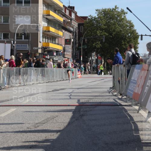15.09.2024 - PSD Bank Halbmarathon Michael Strokosch http://msf.ph/oto/7074743 15.09.2024 11:02:33 Ziel 449 meine-sportfotos.de