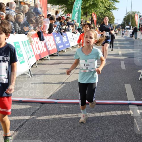 15.09.2024 - PSD Bank Halbmarathon Strokosch-Dieckow http://msf.ph/oto/7074759 15.09.2024 10:29:33 Ziel 5, 12, 47, 70, 150, 180, 194, 244, 254, 255, 271, 297 meine-sportfotos.de