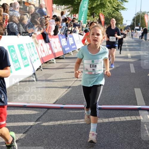 15.09.2024 - PSD Bank Halbmarathon Strokosch-Dieckow http://msf.ph/oto/7074810 15.09.2024 10:29:33 Ziel 5, 12, 47, 70, 150, 180, 194, 244, 254, 255, 271, 297 meine-sportfotos.de