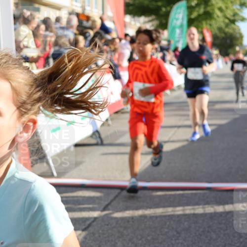 15.09.2024 - PSD Bank Halbmarathon Strokosch-Dieckow http://msf.ph/oto/7074824 15.09.2024 10:29:34 Ziel 5, 12, 47, 70, 180, 194, 244, 254, 255, 271, 297 meine-sportfotos.de
