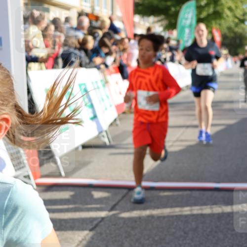 15.09.2024 - PSD Bank Halbmarathon Strokosch-Dieckow http://msf.ph/oto/7074838 15.09.2024 10:29:34 Ziel 5, 12, 47, 70, 180, 194, 244, 254, 255, 271, 297 meine-sportfotos.de