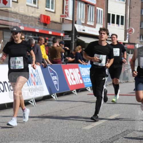 15.09.2024 - PSD Bank Halbmarathon Michael Strokosch http://msf.ph/oto/7074839 15.09.2024 12:14:52 Ziel 798, 1544, 1950, 1964, 2118, 2390, 2530, 2557, 2573, 3000, 3052, 3168 meine-sportfotos.de