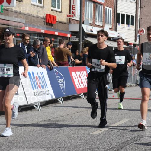 15.09.2024 - PSD Bank Halbmarathon Michael Strokosch http://msf.ph/oto/7074844 15.09.2024 12:14:53 Ziel 798, 1544, 1950, 1964, 2118, 2390, 2530, 2557, 3000, 3052, 3168 meine-sportfotos.de