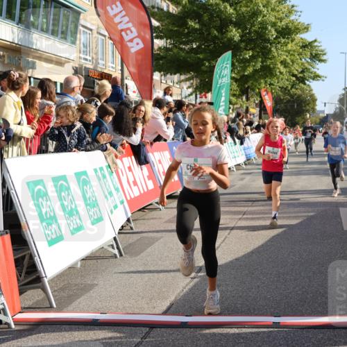 15.09.2024 - PSD Bank Halbmarathon Strokosch-Dieckow http://msf.ph/oto/7075113 15.09.2024 10:29:44 Ziel 70, 80, 85, 111, 112, 120, 194, 254, 255 meine-sportfotos.de