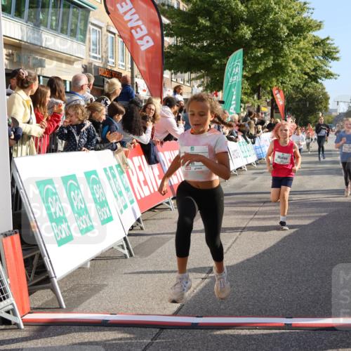 15.09.2024 - PSD Bank Halbmarathon Strokosch-Dieckow http://msf.ph/oto/7075148 15.09.2024 10:29:44 Ziel 70, 80, 85, 111, 112, 120, 194, 254, 255 meine-sportfotos.de