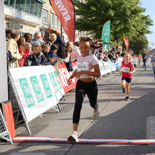 15.09.2024 - PSD Bank Halbmarathon Strokosch-Dieckow http://msf.ph/oto/7075182 15.09.2024 10:29:44 Ziel 70, 80, 85, 111, 112, 120, 194, 254, 255 meine-sportfotos.de