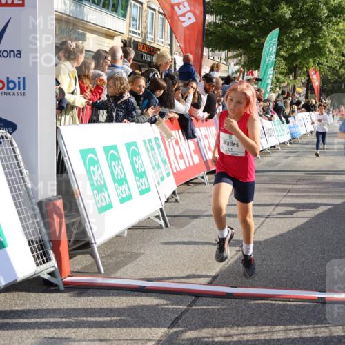 15.09.2024 - PSD Bank Halbmarathon Strokosch-Dieckow http://msf.ph/oto/7075214 15.09.2024 10:29:46 Ziel 46, 74, 80, 85, 111, 112, 120, 194, 254, 255 meine-sportfotos.de