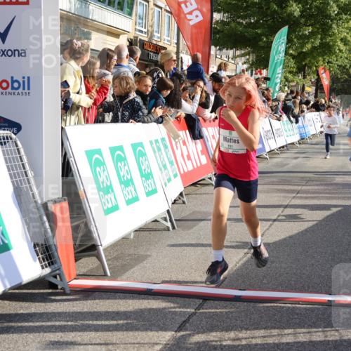 15.09.2024 - PSD Bank Halbmarathon Strokosch-Dieckow http://msf.ph/oto/7075237 15.09.2024 10:29:46 Ziel 46, 74, 80, 85, 111, 112, 120, 194, 254, 255 meine-sportfotos.de