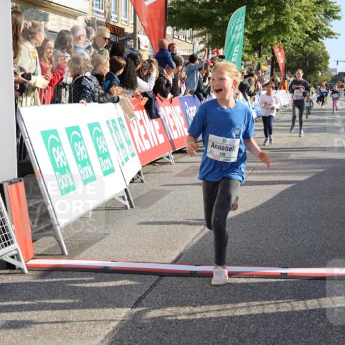 15.09.2024 - PSD Bank Halbmarathon Strokosch-Dieckow http://msf.ph/oto/7075386 15.09.2024 10:29:47 Ziel 46, 74, 80, 85, 111, 112, 120, 194, 255 meine-sportfotos.de