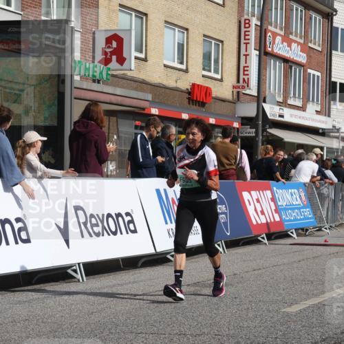 15.09.2024 - PSD Bank Halbmarathon Michael Strokosch http://msf.ph/oto/7075454 15.09.2024 12:15:47 Ziel 985, 2055, 2123, 2289, 2855, 3509 meine-sportfotos.de