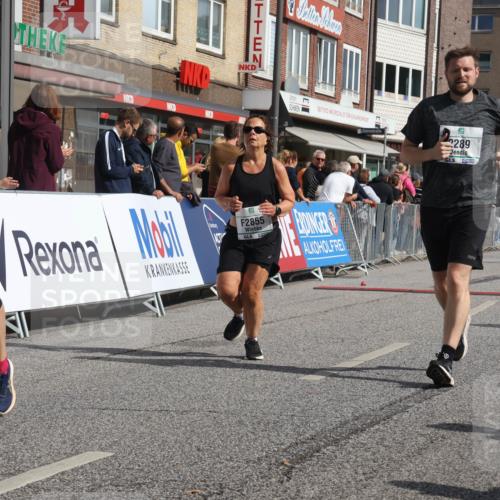15.09.2024 - PSD Bank Halbmarathon Michael Strokosch http://msf.ph/oto/7075500 15.09.2024 12:15:51 Ziel 985, 2055, 2123, 2289, 2294, 2855, 3509 meine-sportfotos.de
