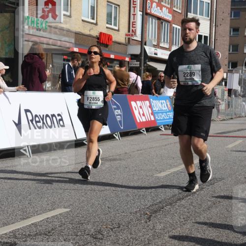 15.09.2024 - PSD Bank Halbmarathon Michael Strokosch http://msf.ph/oto/7075508 15.09.2024 12:15:52 Ziel 985, 2055, 2123, 2289, 2294, 2369, 2855, 3509 meine-sportfotos.de