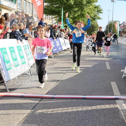 15.09.2024 - PSD Bank Halbmarathon Strokosch-Dieckow http://msf.ph/oto/7076045 15.09.2024 10:30:01 Ziel 3, 15, 46, 60, 63, 74, 80, 112, 164, 168, 171, 185, 225, 246, 286 meine-sportfotos.de