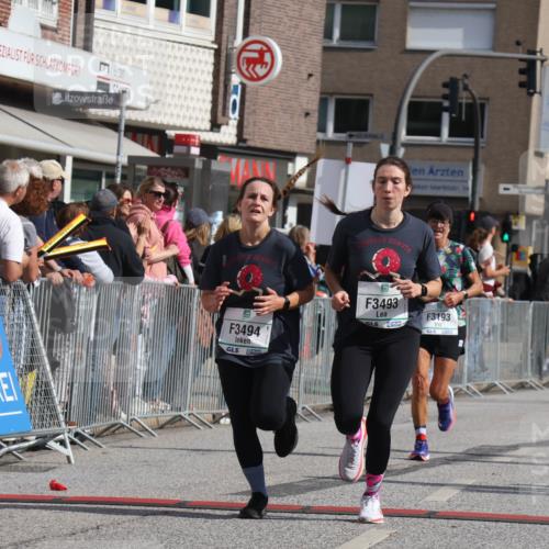 15.09.2024 - PSD Bank Halbmarathon Michael Strokosch http://msf.ph/oto/7076111 15.09.2024 12:16:43 Ziel 2342, 2396, 2526, 3102, 3140, 3193, 3233, 3474, 3493, 3494, 3558 meine-sportfotos.de