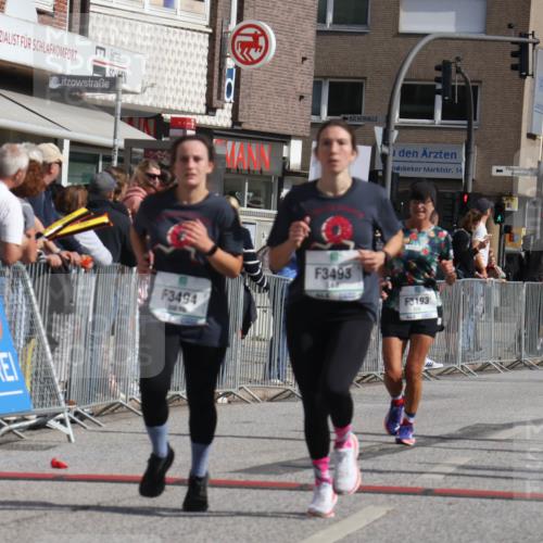 15.09.2024 - PSD Bank Halbmarathon Michael Strokosch http://msf.ph/oto/7076119 15.09.2024 12:16:43 Ziel 2342, 2396, 2526, 3102, 3140, 3193, 3233, 3474, 3493, 3494, 3558 meine-sportfotos.de