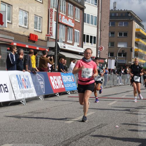 15.09.2024 - PSD Bank Halbmarathon Michael Strokosch http://msf.ph/oto/7076157 15.09.2024 12:16:46 Ziel 2117, 2396, 2526, 3102, 3109, 3140, 3193, 3474, 3493, 3494, 3558 meine-sportfotos.de