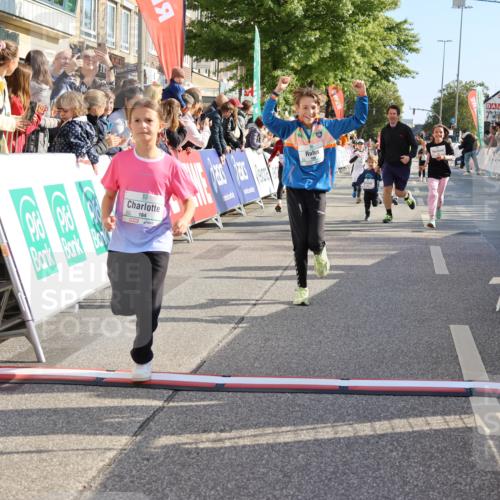 15.09.2024 - PSD Bank Halbmarathon Strokosch-Dieckow http://msf.ph/oto/7076159 15.09.2024 10:30:01 Ziel 3, 15, 46, 60, 63, 74, 80, 112, 164, 168, 171, 185, 225, 246, 286 meine-sportfotos.de