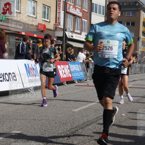 15.09.2024 - PSD Bank Halbmarathon Michael Strokosch http://msf.ph/oto/7076199 15.09.2024 12:16:48 Ziel 1157, 2117, 2270, 2277, 2396, 2526, 3102, 3109, 3118, 3140, 3193, 3493, 3494, 3558 meine-sportfotos.de