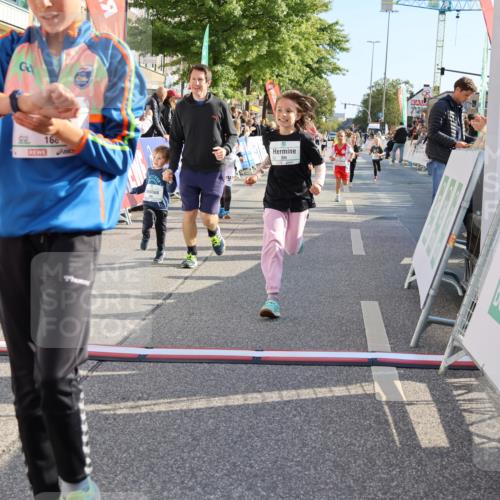 15.09.2024 - PSD Bank Halbmarathon Strokosch-Dieckow http://msf.ph/oto/7076258 15.09.2024 10:30:04 Ziel 3, 15, 46, 60, 63, 74, 80, 164, 168, 171, 185, 218, 225, 246, 286 meine-sportfotos.de