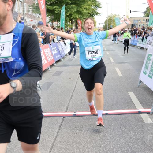 15.09.2024 - PSD Bank Halbmarathon Strokosch-Dieckow http://msf.ph/oto/7076308 15.09.2024 12:24:36 Ziel 1765, 1997, 2081, 2527, 3008, 3256, 3339, 3371, 3452, 3543 meine-sportfotos.de