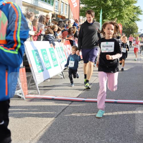 15.09.2024 - PSD Bank Halbmarathon Strokosch-Dieckow http://msf.ph/oto/7076363 15.09.2024 10:30:05 Ziel 3, 15, 46, 60, 63, 74, 127, 164, 168, 171, 185, 218, 225, 246, 286 meine-sportfotos.de