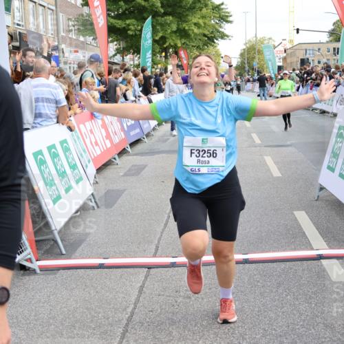 15.09.2024 - PSD Bank Halbmarathon Strokosch-Dieckow http://msf.ph/oto/7076407 15.09.2024 12:24:36 Ziel 1765, 1997, 2081, 2527, 3008, 3256, 3339, 3371, 3452, 3543 meine-sportfotos.de