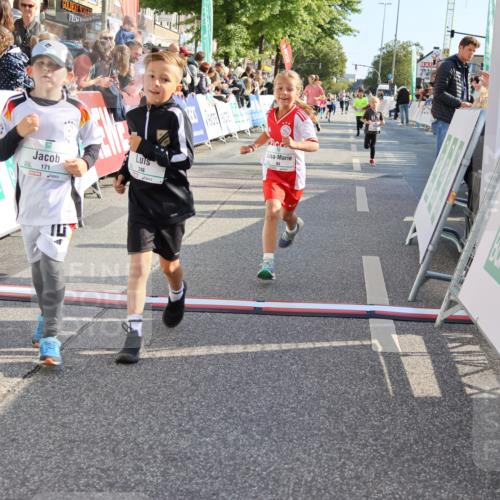 15.09.2024 - PSD Bank Halbmarathon Strokosch-Dieckow http://msf.ph/oto/7076470 15.09.2024 10:30:07 Ziel 3, 15, 60, 63, 127, 156, 164, 168, 171, 185, 218, 225, 246, 264, 286 meine-sportfotos.de