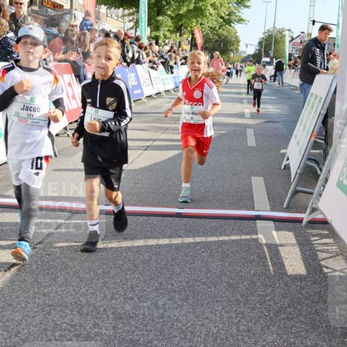 15.09.2024 - PSD Bank Halbmarathon Strokosch-Dieckow http://msf.ph/oto/7076501 15.09.2024 10:30:07 Ziel 3, 15, 60, 63, 127, 156, 164, 168, 171, 185, 218, 225, 246, 264, 286 meine-sportfotos.de
