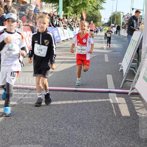 15.09.2024 - PSD Bank Halbmarathon Strokosch-Dieckow http://msf.ph/oto/7076526 15.09.2024 10:30:08 Ziel 3, 15, 60, 63, 127, 156, 164, 168, 171, 185, 218, 225, 246, 264, 286 meine-sportfotos.de