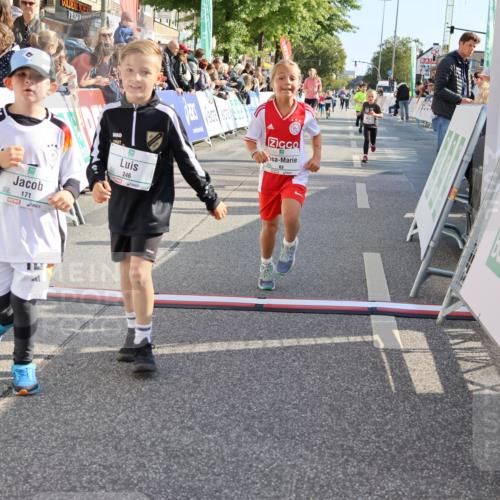 15.09.2024 - PSD Bank Halbmarathon Strokosch-Dieckow http://msf.ph/oto/7076555 15.09.2024 10:30:08 Ziel 3, 15, 60, 63, 127, 156, 164, 168, 171, 185, 218, 225, 246, 264, 286 meine-sportfotos.de