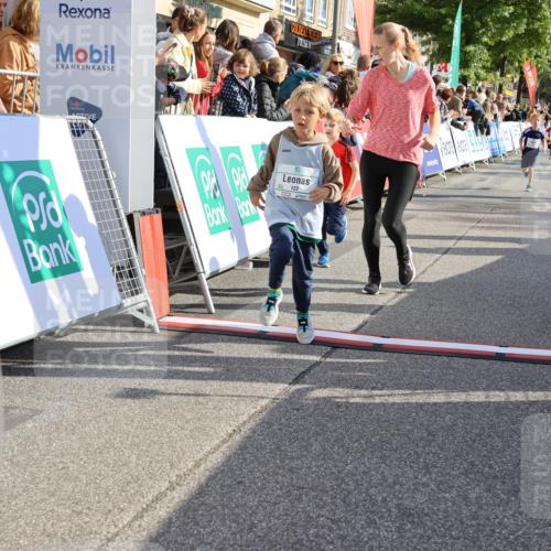 15.09.2024 - PSD Bank Halbmarathon Strokosch-Dieckow http://msf.ph/oto/7076634 15.09.2024 10:30:14 Ziel 3, 63, 97, 127, 156, 168, 171, 185, 218, 225, 246, 252, 264, 281, 286, 289, 306 meine-sportfotos.de