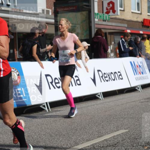 15.09.2024 - PSD Bank Halbmarathon Michael Strokosch http://msf.ph/oto/7076702 15.09.2024 12:17:29 Ziel 983, 2282, 2665, 3010, 3020, 3072, 3155, 3302 meine-sportfotos.de