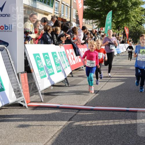 15.09.2024 - PSD Bank Halbmarathon Strokosch-Dieckow http://msf.ph/oto/7077360 15.09.2024 10:30:21 Ziel 3, 32, 97, 127, 129, 156, 218, 252, 264, 281, 289, 306 meine-sportfotos.de