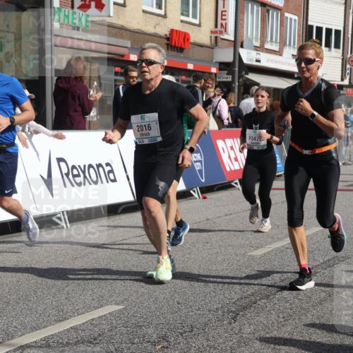 15.09.2024 - PSD Bank Halbmarathon Michael Strokosch http://msf.ph/oto/7077443 15.09.2024 12:18:34 Ziel 802, 1853, 2016, 2023, 2086, 2154, 2232, 2266, 2450, 3093, 3094, 3136, 3141, 3221, 3453, 3454, 3472, 3533 meine-sportfotos.de