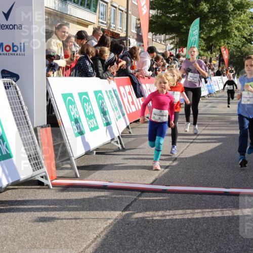 15.09.2024 - PSD Bank Halbmarathon Strokosch-Dieckow http://msf.ph/oto/7077504 15.09.2024 10:30:21 Ziel 3, 32, 97, 127, 129, 156, 218, 252, 264, 281, 289, 306 meine-sportfotos.de
