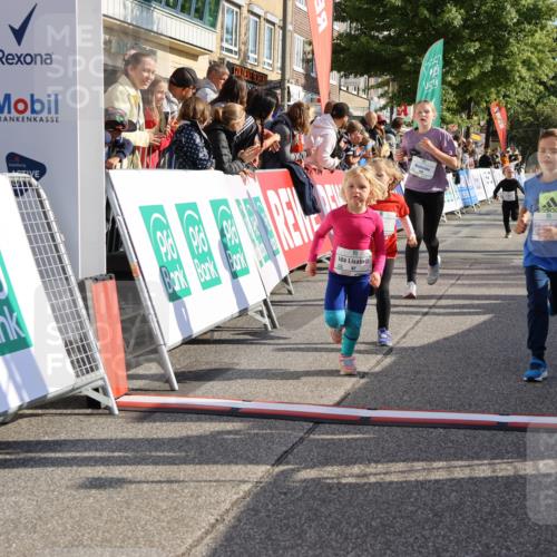 15.09.2024 - PSD Bank Halbmarathon Strokosch-Dieckow http://msf.ph/oto/7077522 15.09.2024 10:30:21 Ziel 3, 32, 97, 127, 129, 156, 218, 252, 264, 281, 289, 306 meine-sportfotos.de
