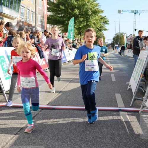 15.09.2024 - PSD Bank Halbmarathon Strokosch-Dieckow http://msf.ph/oto/7077598 15.09.2024 10:30:22 Ziel 32, 97, 127, 129, 156, 218, 252, 264, 281, 289, 306 meine-sportfotos.de