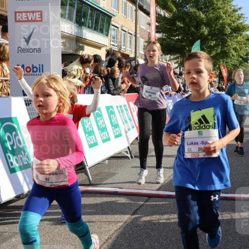 15.09.2024 - PSD Bank Halbmarathon Strokosch-Dieckow http://msf.ph/oto/7077614 15.09.2024 10:30:23 Ziel 32, 97, 127, 129, 156, 218, 252, 264, 281, 289, 306 meine-sportfotos.de