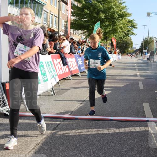 15.09.2024 - PSD Bank Halbmarathon Strokosch-Dieckow http://msf.ph/oto/7077696 15.09.2024 10:30:24 Ziel 32, 97, 127, 129, 156, 252, 264, 281, 289, 306 meine-sportfotos.de