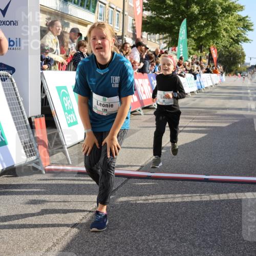 15.09.2024 - PSD Bank Halbmarathon Strokosch-Dieckow http://msf.ph/oto/7077759 15.09.2024 10:30:25 Ziel 32, 97, 127, 129, 156, 252, 264, 281, 289, 306 meine-sportfotos.de