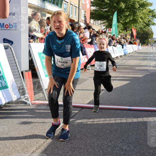 15.09.2024 - PSD Bank Halbmarathon Strokosch-Dieckow http://msf.ph/oto/7077787 15.09.2024 10:30:25 Ziel 32, 97, 127, 129, 156, 252, 264, 281, 289, 306 meine-sportfotos.de
