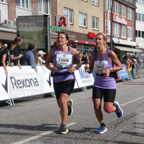 15.09.2024 - PSD Bank Halbmarathon Michael Strokosch http://msf.ph/oto/7077845 15.09.2024 12:19:05 Ziel 1728, 1729, 1828, 2412, 2821, 3103, 3106, 3419, 3446, 3447, 3500, 3561 meine-sportfotos.de