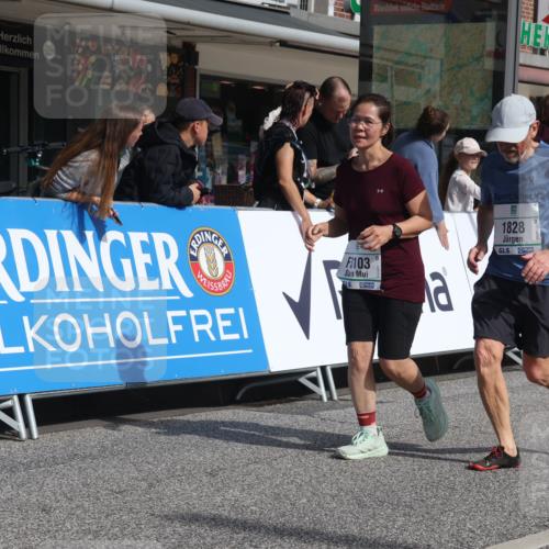 15.09.2024 - PSD Bank Halbmarathon Michael Strokosch http://msf.ph/oto/7077905 15.09.2024 12:19:10 Ziel 1728, 1729, 1828, 2412, 2821, 3103, 3106, 3373, 3419, 3446, 3447, 3500, 3561 meine-sportfotos.de