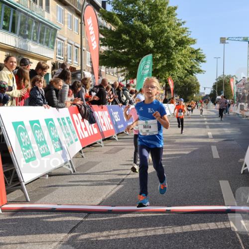 15.09.2024 - PSD Bank Halbmarathon Strokosch-Dieckow http://msf.ph/oto/7077974 15.09.2024 10:31:00 Ziel 44, 145, 147, 214, 234 meine-sportfotos.de
