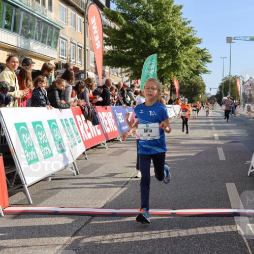 15.09.2024 - PSD Bank Halbmarathon Strokosch-Dieckow http://msf.ph/oto/7077986 15.09.2024 10:31:00 Ziel 44, 145, 147, 214, 234 meine-sportfotos.de