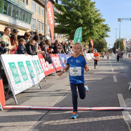 15.09.2024 - PSD Bank Halbmarathon Strokosch-Dieckow http://msf.ph/oto/7077998 15.09.2024 10:31:00 Ziel 44, 145, 147, 214, 234 meine-sportfotos.de